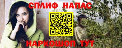 крисы Будённовск