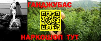 крисы Будённовск