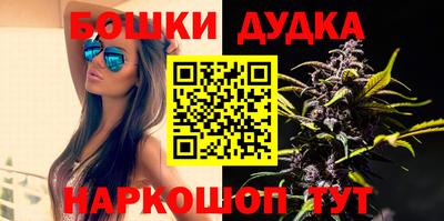 крисы Будённовск