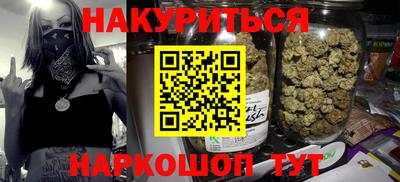 крисы Будённовск