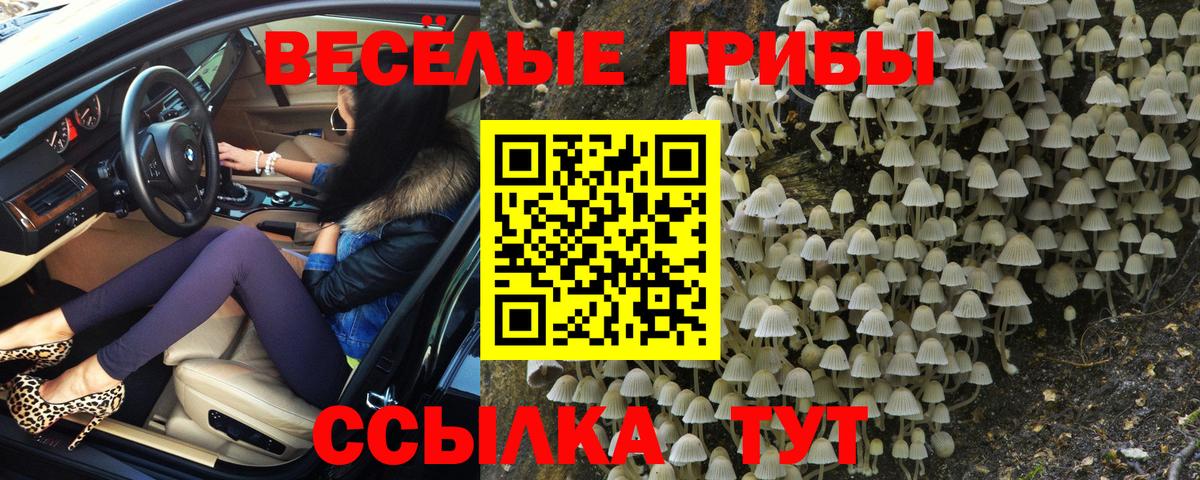 Псилоцибиновые грибы MAGIC MUSHROOMS  Вход с VPN  Балашов  Псилоцибиновые грибы ЛСД 