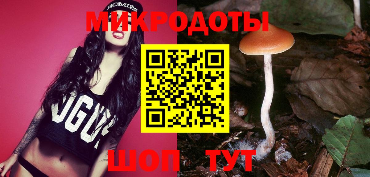 Псилоцибиновые грибы GOLDEN TEACHER Балашов